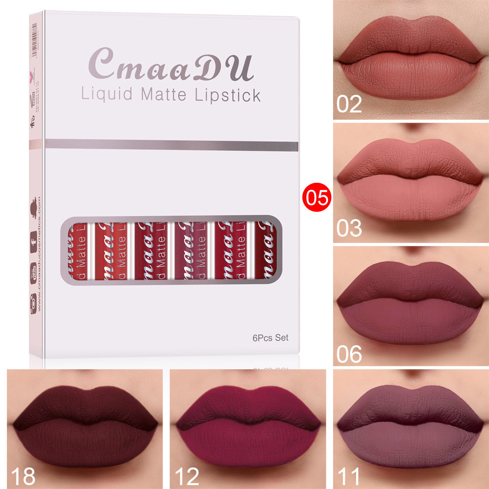 Matte Non-stick Waterproof Lip gloss