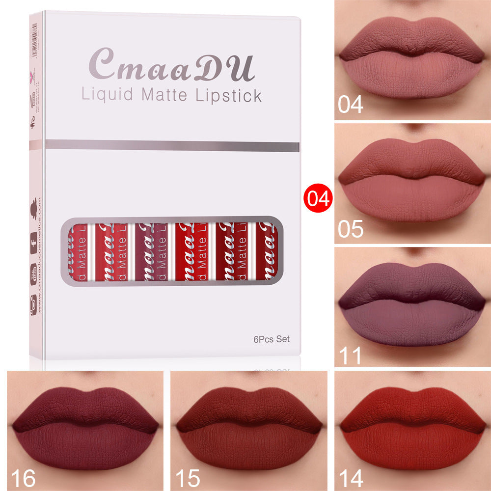 Matte Non-stick Waterproof Lip gloss