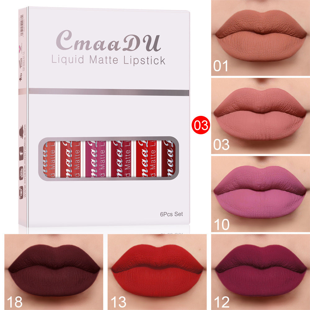 Matte Non-stick Waterproof Lip gloss