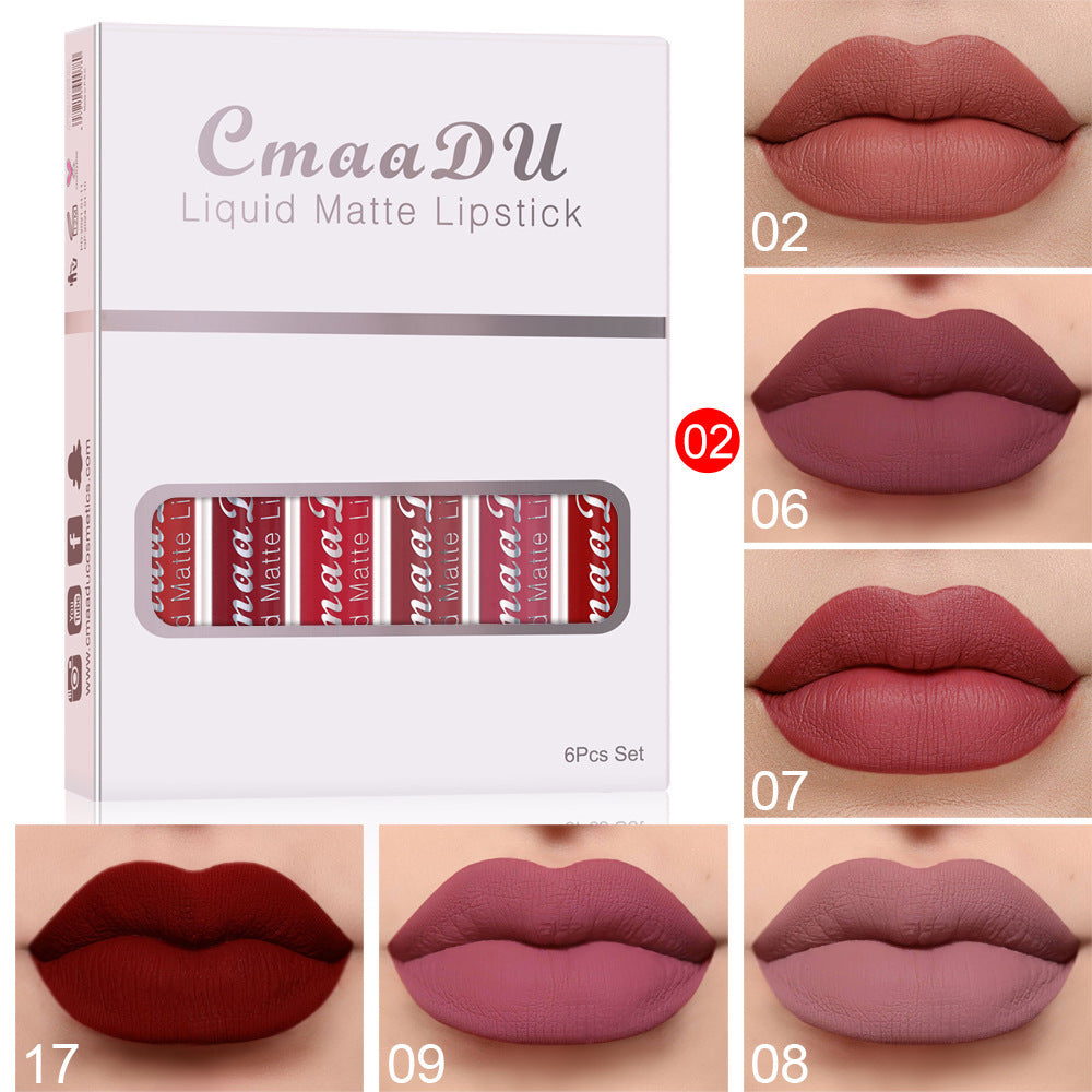 Matte Non-stick Waterproof Lip gloss