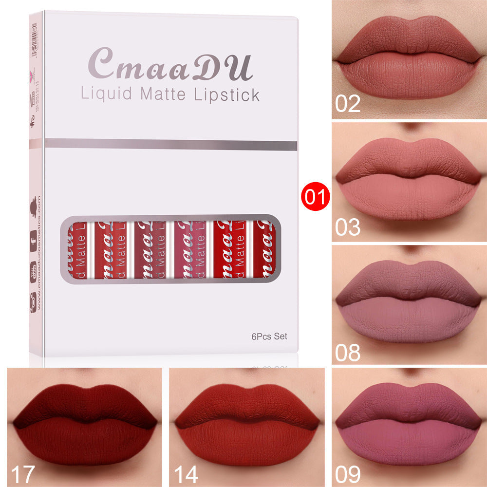 Matte Non-stick Waterproof Lip gloss